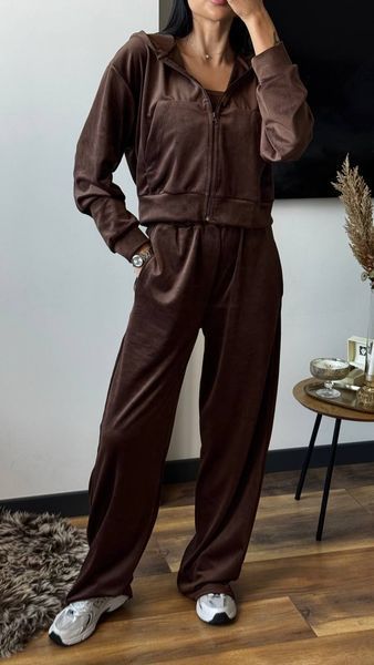 Жіночий велюровий костюм трійка 12160rb фото